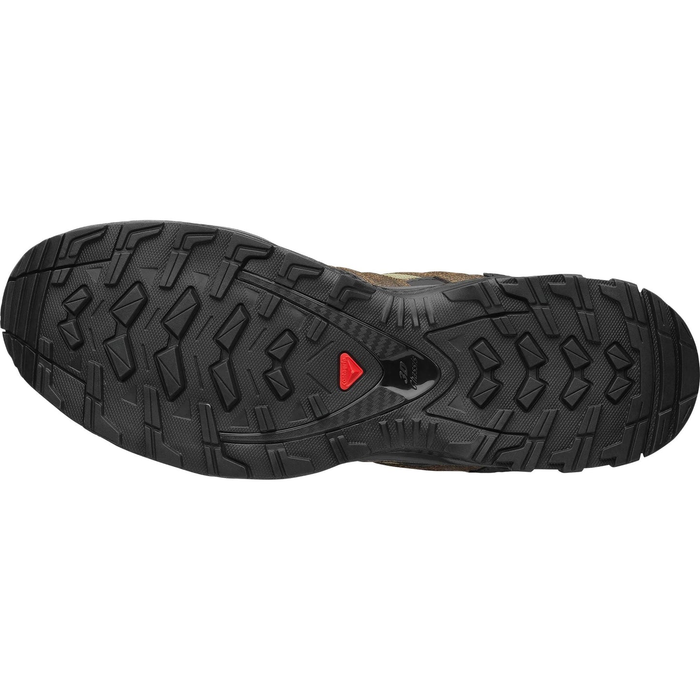 Salomon XA Pro 3D Distressed LTR Unisex Outdoor Shoes – Green & Brown